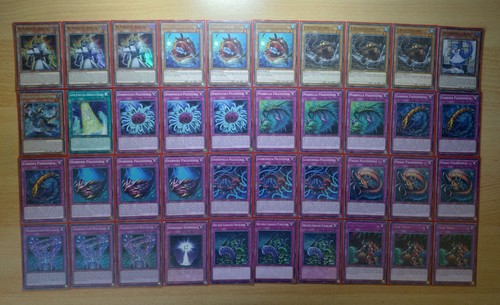 Deck paleozoic - deck, /
